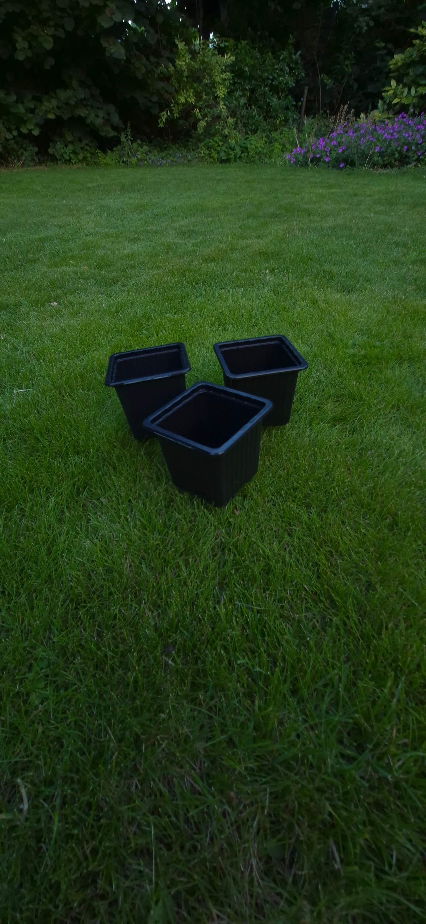 Drie kweekbakjes voor planten op gras