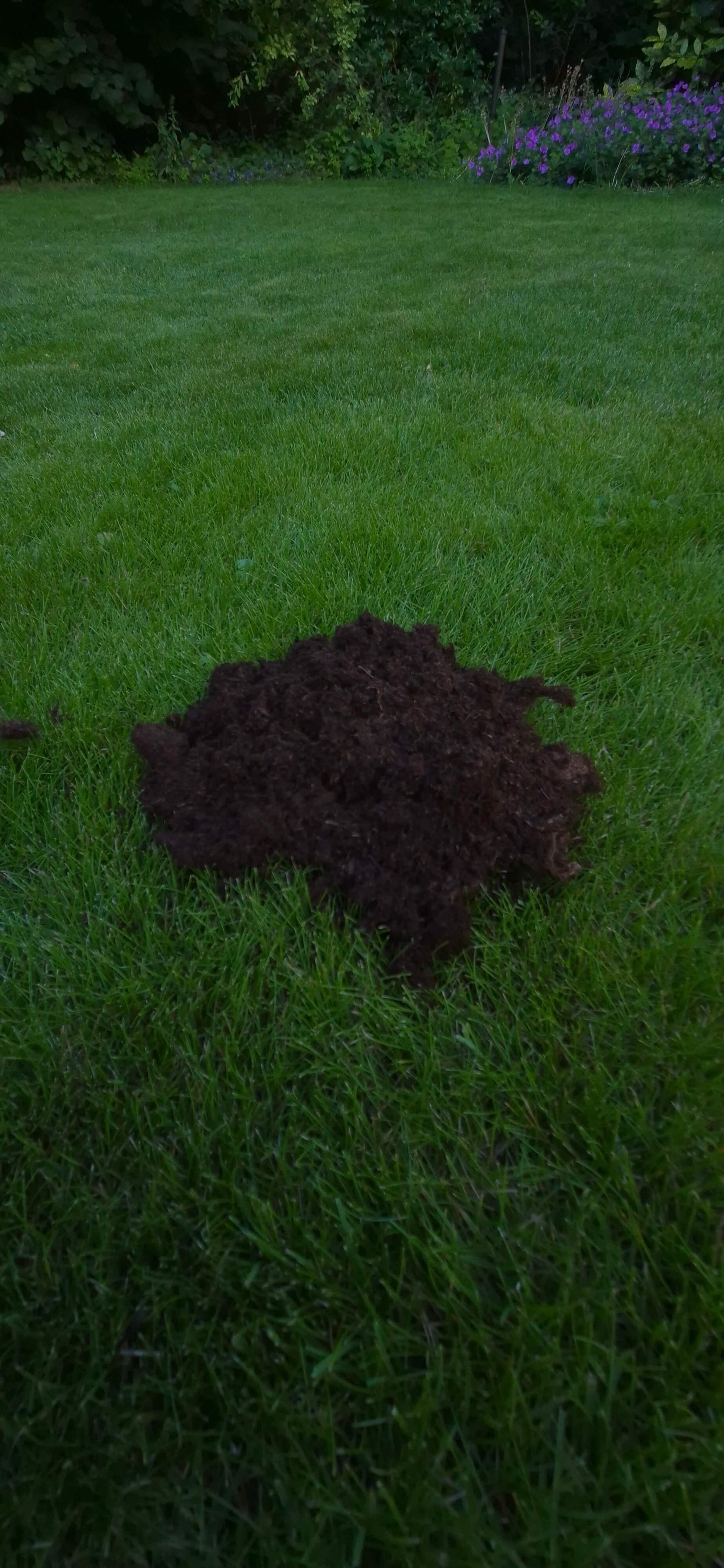 Hoop aarde ligt op gras