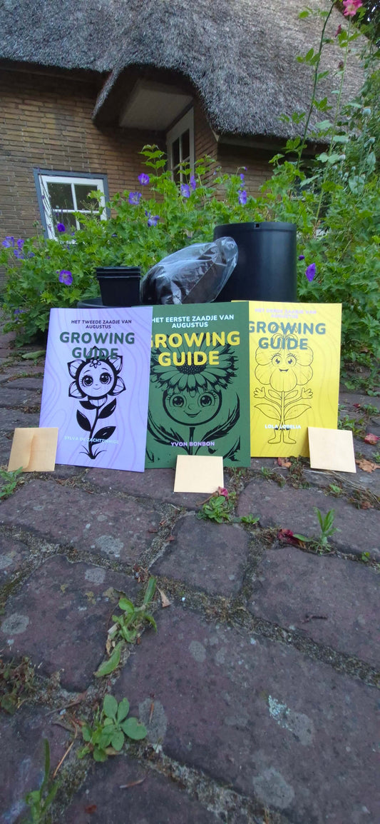 BeeFreeBox zaaibox met bijvriendelijke bloemenzaden en groeimateriaal